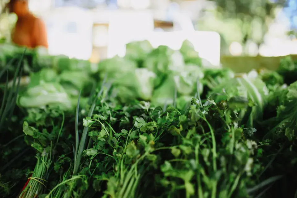Proudly Serving the Farmers Branch Community in Farmers Branch